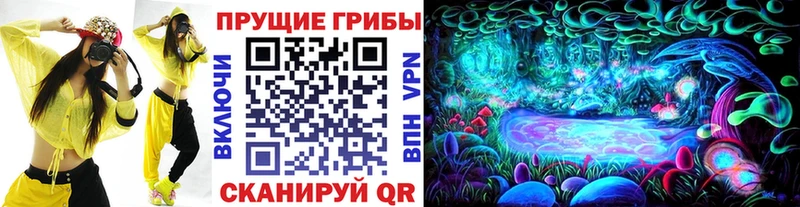 Псилоцибиновые грибы прущие грибы  магазин продажи наркотиков  mega как войти  Орёл 